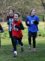 Herts County X Country 2014  _168356