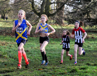 Herts County X Country 2014  _168438