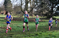 Herts County X Country 2014  _168436