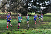 Herts County X Country 2014  _168435