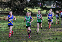 Herts County X Country 2014  _168434