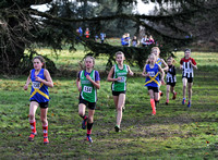 Herts County X Country 2014  _168432