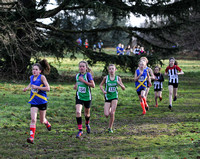 Herts County X Country 2014  _168433