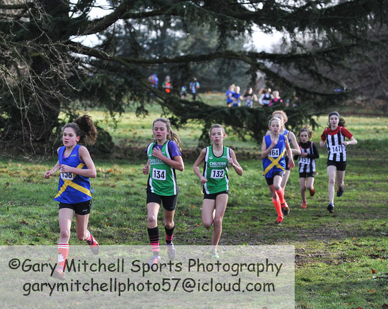 Herts County X Country 2014  _168433