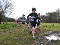Herts County X Country 2014  _168551