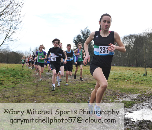 Herts County X Country 2014  _168549