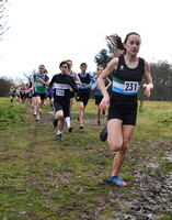 Herts County X Country 2014  _168548