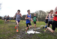 Herts County X Country 2014  _168544