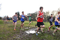 Herts County X Country 2014  _168542