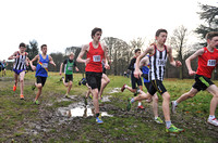 Herts County X Country 2014  _168541