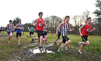 Herts County X Country 2014  _168540