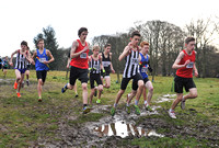 Herts County X Country 2014  _168537