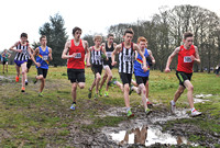 Herts County X Country 2014  _168535