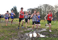 Herts County X Country 2014  _168536