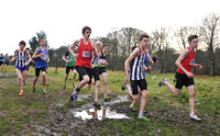 Herts County X Country 2014  _168539