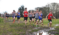 Herts County X Country 2014  _168534