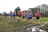 Herts County X Country 2014  _168533