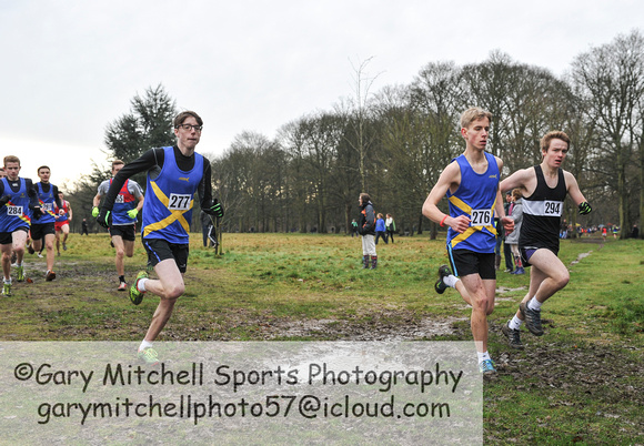 Herts County X Country 2014  _168697