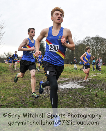 Herts County X Country 2014  _168696