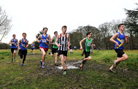 Herts County X Country 2014  _168690