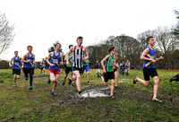 Herts County X Country 2014  _168689