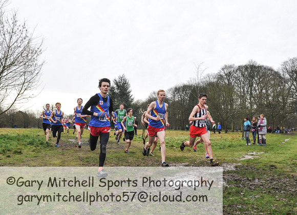 Herts County X Country 2014  _168683