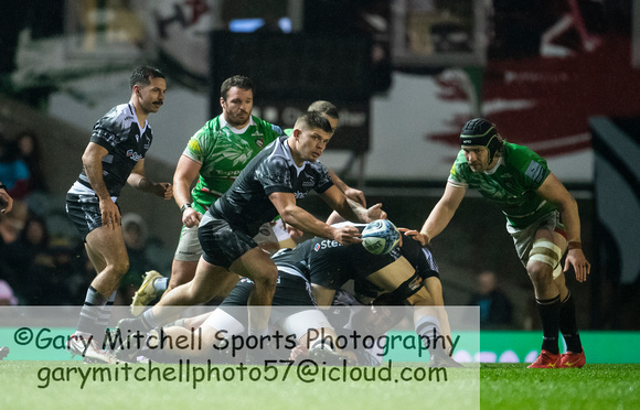 Leicester Tigers vs Newcastle Falcons _ 174099