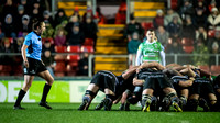 Leicester Tigers and Newcastle Falcons