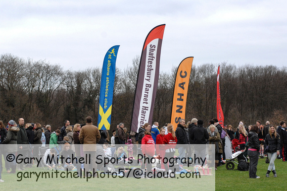 Hertfordshire County Cross Country Championships 2012  _ 173129