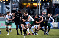 Saracens v Northampton Saints Round 8