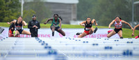 80m Hurdles Girls _ 231528