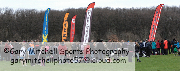 Hertfordshire County Cross Country Championships 2012  _ 173125