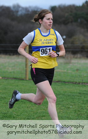 Hertfordshire County Cross Country Championships 2012  _ 174208