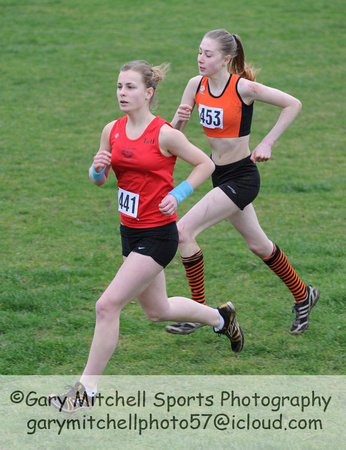 Hertfordshire County Cross Country Championships 2012  _ 174466