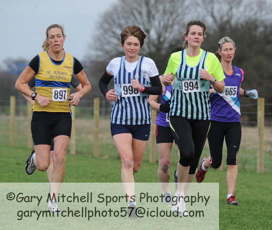 Hertfordshire County Cross Country Championships 2012  _ 174215