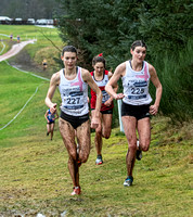 Abbie Donnelly _ Kate Avery _ Bronwen Owen _ 36280