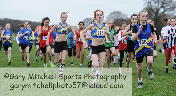 Hertfordshire County Cross Country Championships 2012  _ 174326