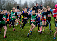 U11 Girls Kelsoe X Country _ 355725