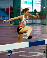 Steeplechase _ 70909